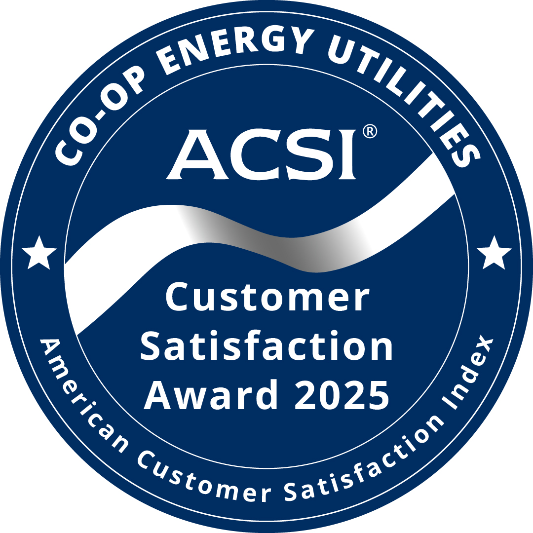 acsi logo
