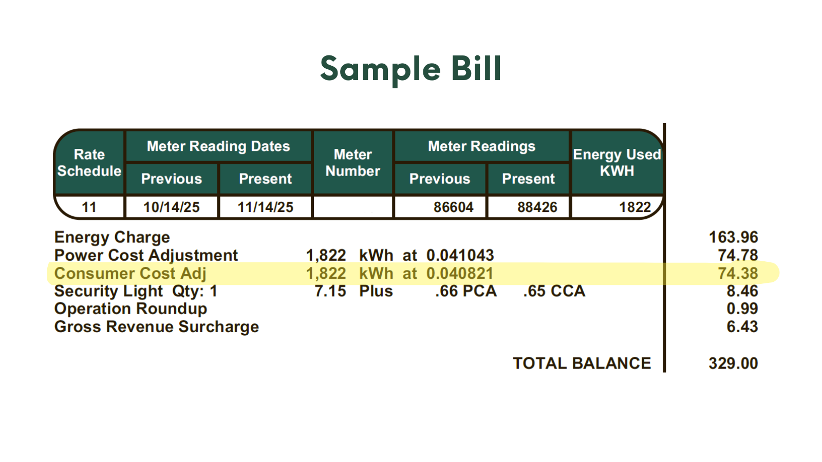 A sample bill for the month of November 2025 with the line item Consumer Cost Adjustment highlighted.