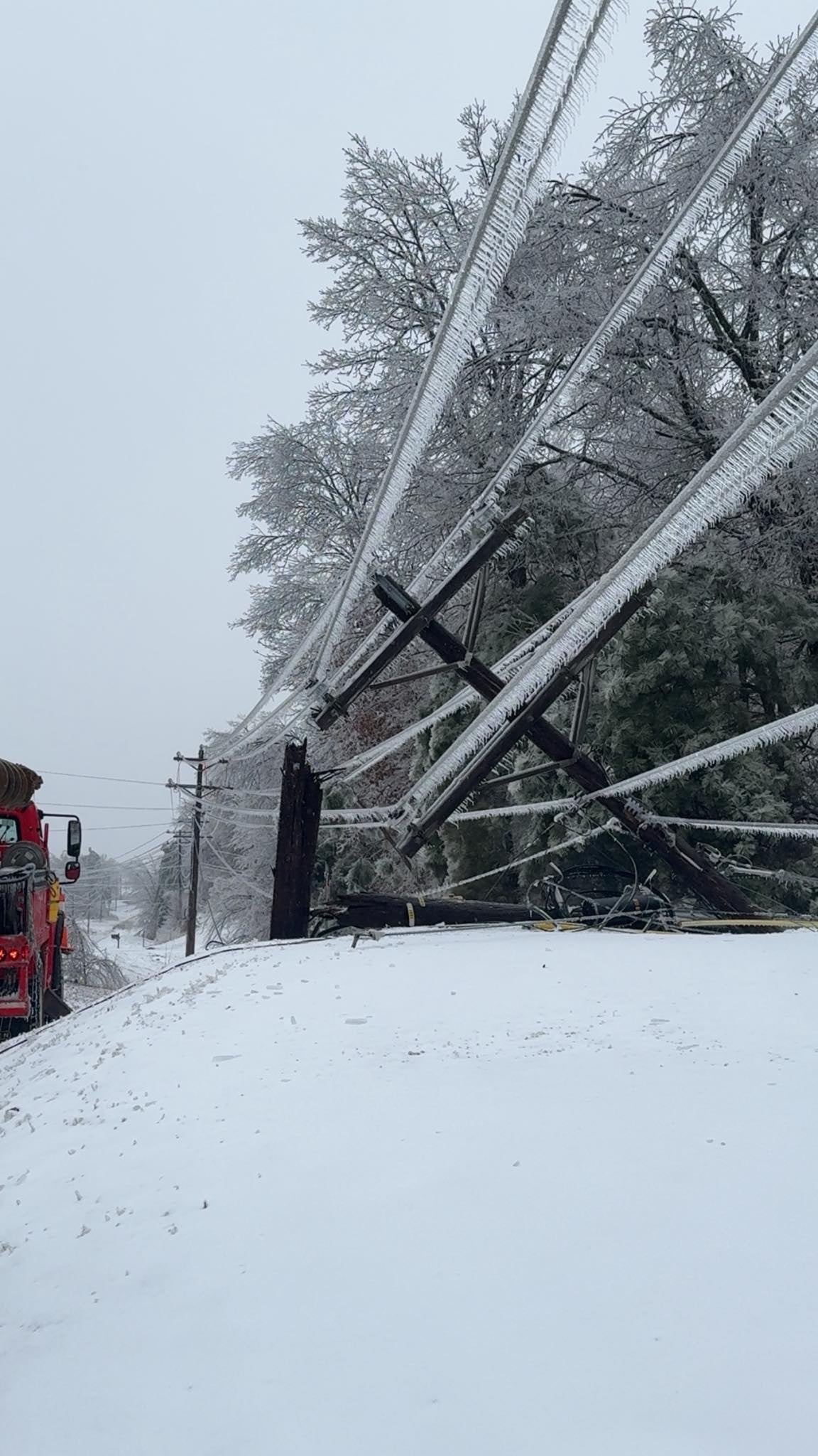 Photo courtesy Tallahatchie Valley Electric Power Association, showing ice accumulation and power line damage in the immediate aftermath of Winter Storm Fern.