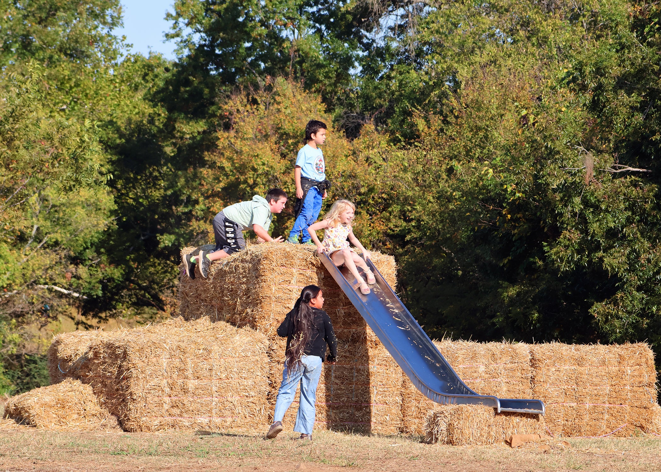 Children playing on a slide made of hay bales