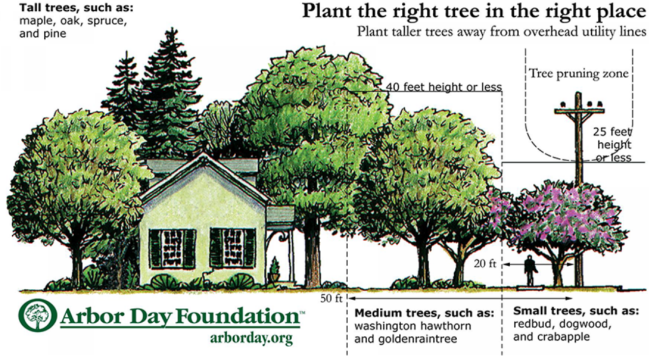 Plant the right tree in the right place. 