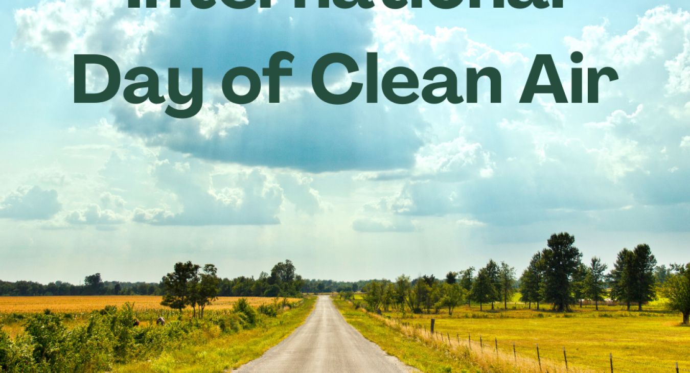 International Day of Clean Air